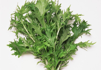 艾草是寒性的嗎？艾草是涼性的嗎？