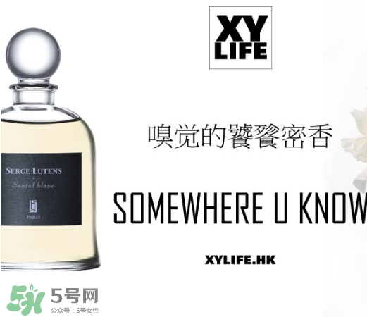 serge lutens蘆丹氏香水哪款好聞？鹵蛋蘆丹氏香水推薦