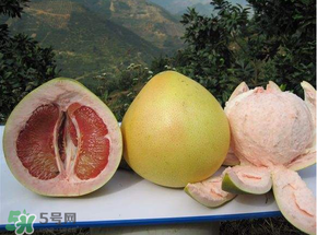 清明節(jié)掃墓帶什么水果？清明節(jié)上墳的水果能吃嗎？