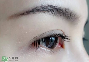 serge lutens蘆丹氏睫毛膏怎么樣？蘆丹氏睫毛膏好不好用？