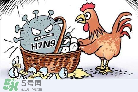 怎樣預防禽流感？如何預防禽流感