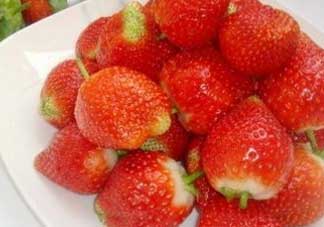 草莓和菠蘿可以一起吃嗎？草莓和菠蘿能一起吃嗎？