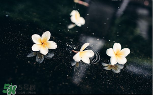 三月份為什么一直下雨？2017年三月份為什么雨多？