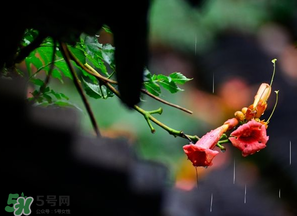 2017年梅雨季節(jié)是幾月？2017年梅雨季節(jié)是什么時(shí)候？