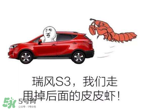 黃鱔為什么火了？黃鱔我們走為什么火了？