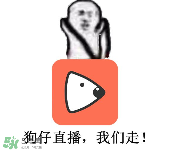 黃鱔為什么火了？黃鱔我們走為什么火了？
