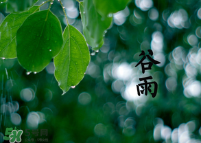2017年谷雨是幾月幾號(hào)？2017年谷雨是哪一天？