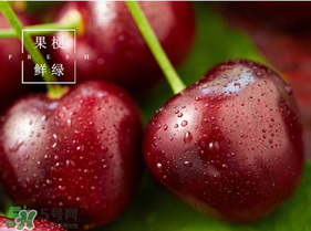 美早櫻桃多少錢一斤？美早櫻桃多少錢一斤2017？