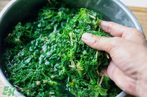 薺菜怎么腌制？薺菜的腌制方法