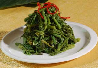 蕨菜什么人不能吃？哪些人不能吃蕨菜？