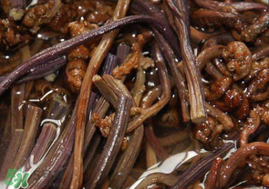 蕨菜能吃嗎？蕨菜可以吃嗎？