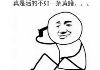 黃鱔有什么錯(cuò)？黃鱔做錯(cuò)了什么？