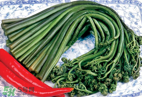 蕨菜有毒嗎？吃蕨菜會中毒嗎？