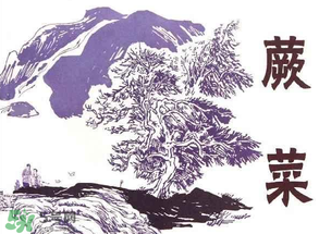 吃蕨菜會過敏嗎？皮膚過敏能吃蕨菜嗎？