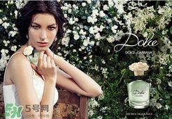dolce gabanna香水哪款好聞？DG杜嘉班納香水推薦