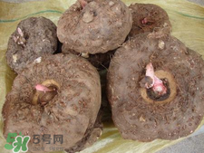 魔芋什么味道？怎么去除魔芋味道？