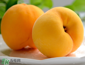 黃桃為什么那么貴？黃桃為什么這么貴？