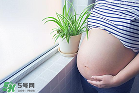 孕婦可以做美甲嗎？美甲對孕婦有什么影響？