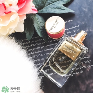 dolce gabanna香水哪款好聞？DG杜嘉班納香水推薦