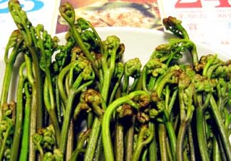 蕨菜有毒嗎？吃蕨菜會中毒嗎？