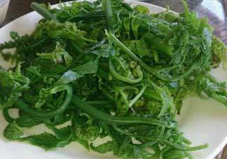 蕨菜是發(fā)物嗎？蕨菜是不是發(fā)物嗎？