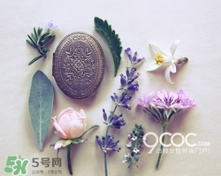 2017固體香膏哪個牌子好？2017固定香膏排行榜