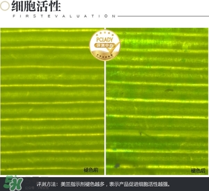 cpb保濕露多少錢？cpb保濕露專柜價(jià)格
