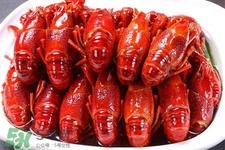 吃小龍蝦可以喝紅酒嗎？紅酒和龍蝦能一起吃嗎？