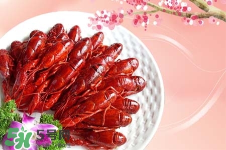 吃小龍蝦喝什么飲料？小龍蝦配什么飲料最好？