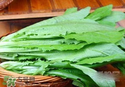 油麥菜糖尿病能吃嗎？糖尿病能吃油麥菜嗎？
