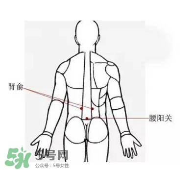 艾灸能減肥嗎？艾灸能不能減肥