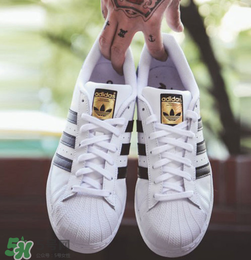 adidas貝殼頭正品多少錢？阿迪達(dá)斯貝殼頭鞋專柜價(jià)格