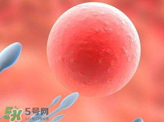 捐20顆卵子會怎么樣？捐20顆卵子有什么后果？