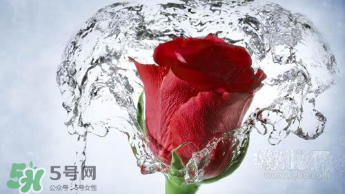 黃瓜水和玫瑰水哪個好？黃瓜水和玫瑰水區(qū)別