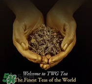 twg茶哪個(gè)最經(jīng)典？twg茶葉哪個(gè)好喝？