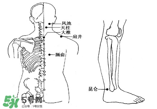 刮痧能治頸椎病嗎？頸椎病刮痧正確圖片