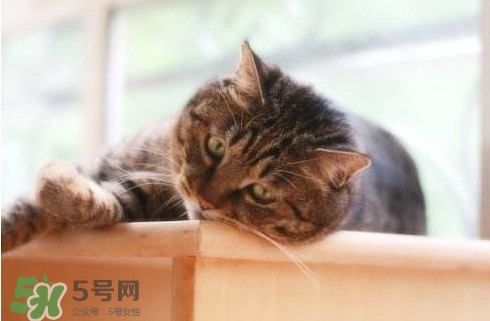 為什么身體總是覺得累？總是覺得累是怎么回事