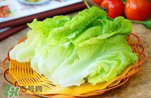 生菜可以放冰箱嗎？生菜可以放冰箱多久？