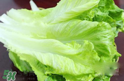 生菜可以放冰箱嗎？生菜可以放冰箱多久？