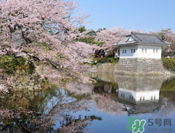 5月份去日本穿什么？五月份去日本穿什么衣服？