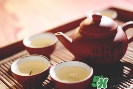 普洱茶煮著喝好不好？普洱茶煮好還是泡好？