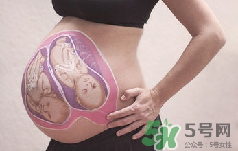 妊娠線看可以看胎兒性別嗎？妊娠線看可以男女嗎？