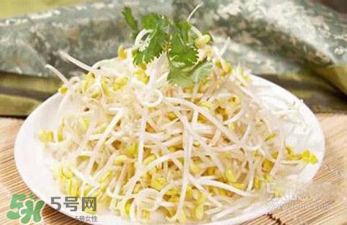 黃豆芽熱量高嗎？吃黃豆芽會(huì)長(zhǎng)胖嗎？