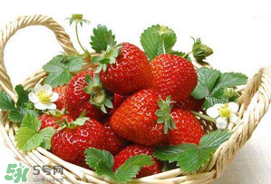 五月份還有草莓嗎？5月份還有草莓嗎？