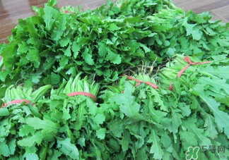 罌粟苗能當(dāng)菜吃嗎？罌粟苗可以當(dāng)菜吃嗎？
