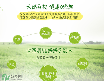 禧貝米粉二段味道怎么樣？禧貝米粉二段味道如何？