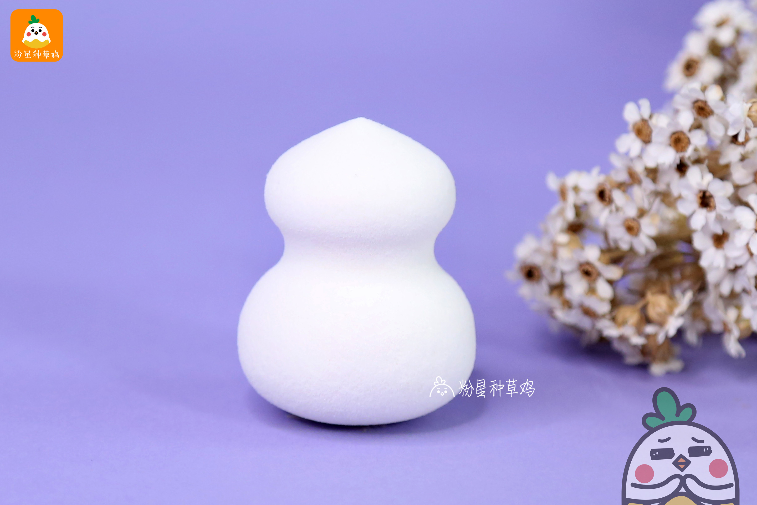 beauty blender美妝蛋和rt美妝蛋哪個(gè)好？
