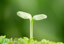 甲醛檢測儀哪個牌子好？哪個牌子的甲醛檢測儀好？