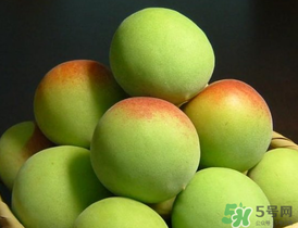 青梅什么時(shí)候成熟？青梅幾月份成熟？