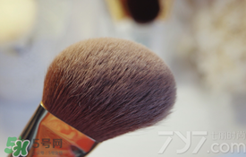 受受狼是哪個國家的？受受狼化妝刷推薦